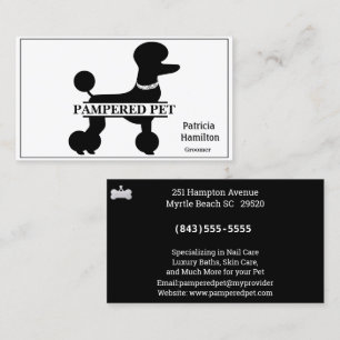 Carte De Visite Poodé Animaux de compagnie / Animateur