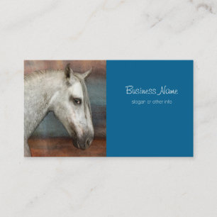 Carte De Visite Portrait de Cheval Andalou Gris Dappé