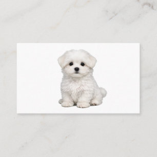 Carte De Visite Portrait de chiot maltais blanc et duveteux Amoure