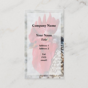 Carte De Visite Portrait d'un coq