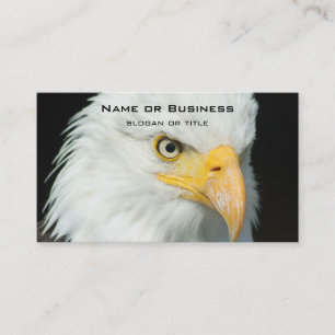 Carte De Visite Portrait Majestic Bald Eagle