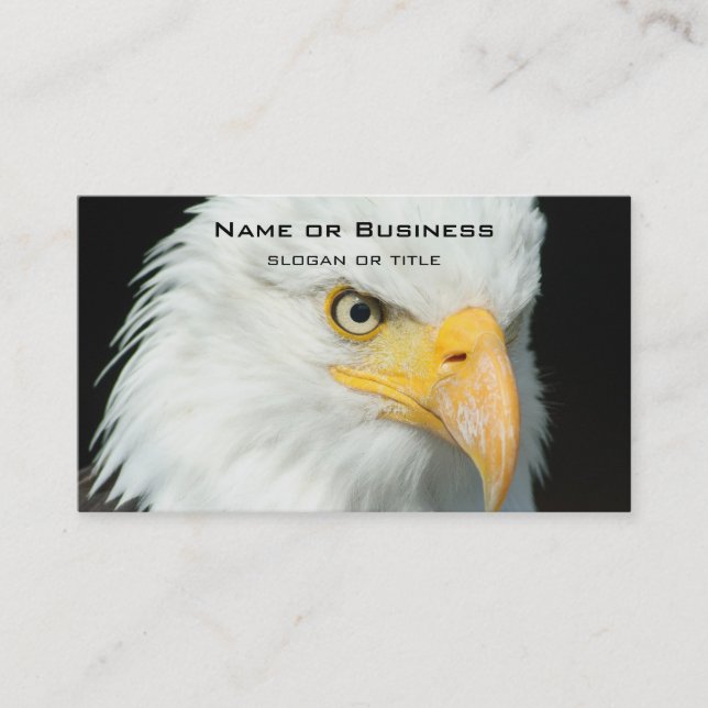 Carte De Visite Portrait Majestic Bald Eagle (Devant)