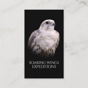 Carte De Visite Portrait signé d'un faucon de Saker curieux