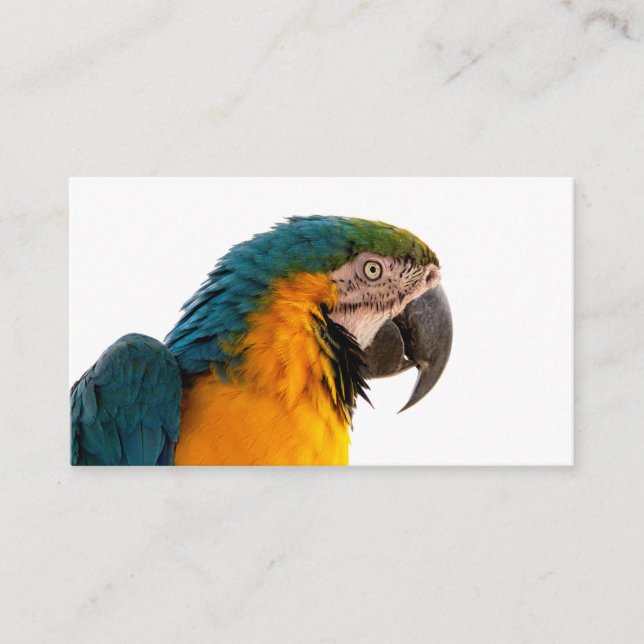 Carte De Visite Post-it Notes perroquet (Devant)