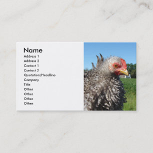 Carte De Visite Poulet de la brume barrée