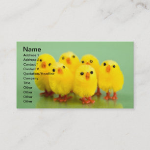 Carte De Visite Poulets de printemps