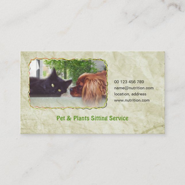carte de visite pour l'animal familier et les (Devant)