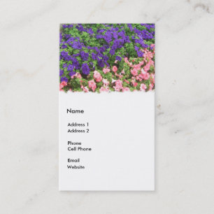 Carte De Visite pourpre et rose