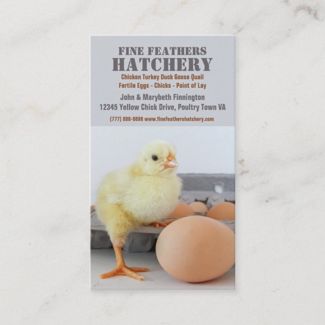 Carte De Visite Poussin dans l'établissement d'incubation de (Devant)