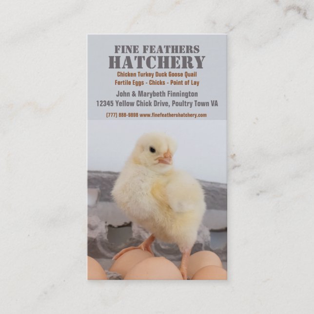 Carte De Visite Poussin dans l'établissement d'incubation de (Devant)