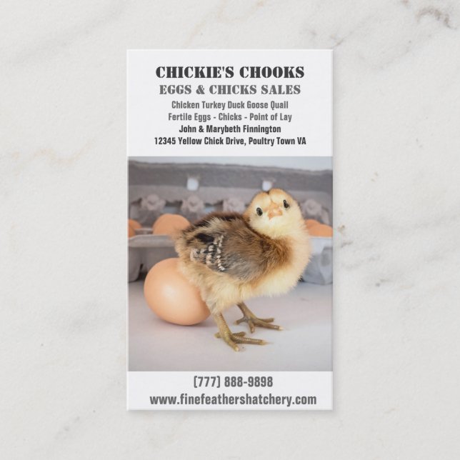 Carte De Visite Poussin de bébé et oeuf frais (Devant)