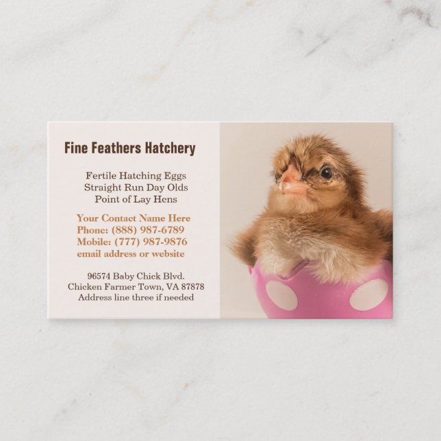 Carte De Visite Poussin de Welsummer de bébé dans l'établissement (Devant)
