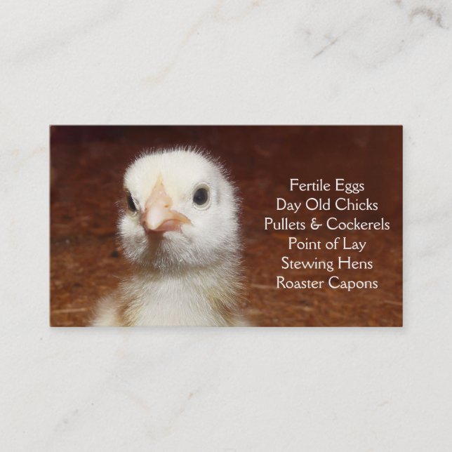 Carte De Visite Poussin d'un jour - couches ou ferme de poulets à (Devant)