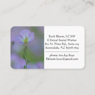 Carte De Visite Primrose pourpre