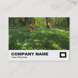 Carte De Visite Printemps dans les bois