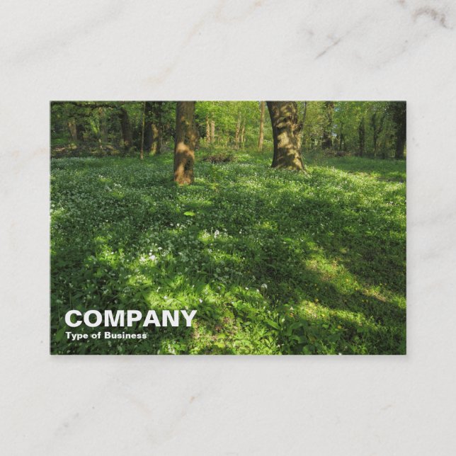 Carte De Visite Printemps dans les bois (Devant)