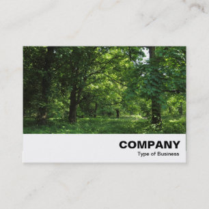 Carte De Visite Printemps dans les bois 01