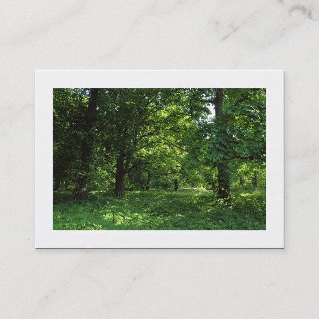 Carte De Visite Printemps dans les bois 01 (frontière) (Devant)