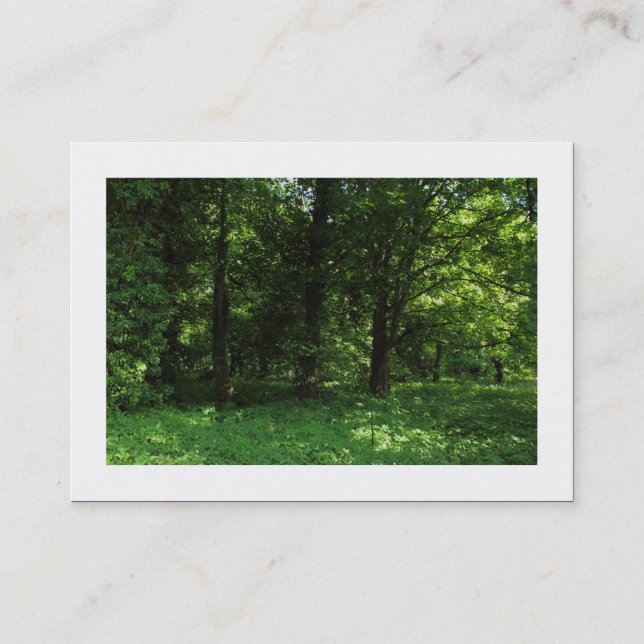 Carte De Visite Printemps dans les bois 02 (frontière) (Devant)