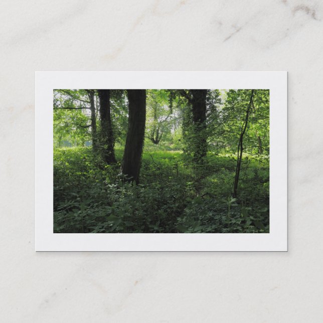 Carte De Visite Printemps dans les bois 04 (frontière) (Devant)