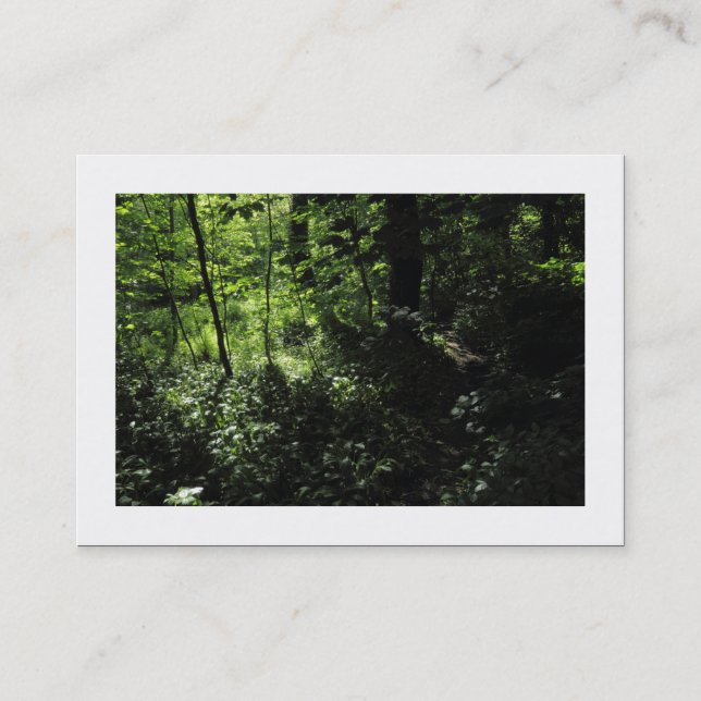 Carte De Visite Printemps dans les bois 05 (frontière) (Devant)