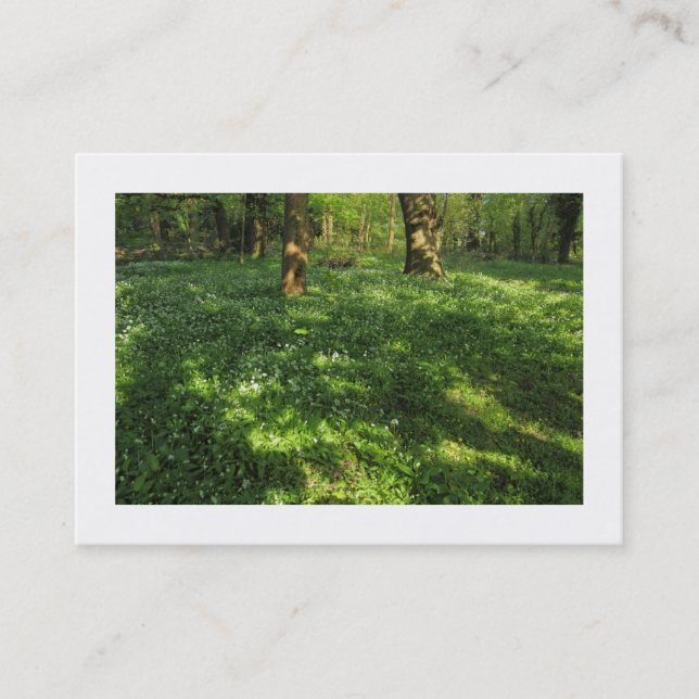 Carte De Visite Printemps dans les bois (frontière) (Devant)