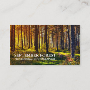 Carte De Visite Pro Photography (Forêt)