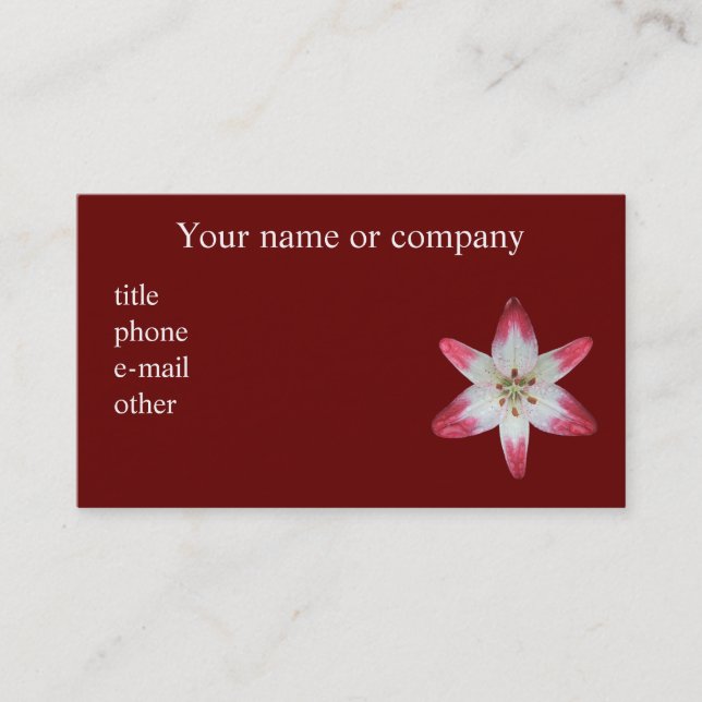 Carte de visite professionnelle de visite (Devant)
