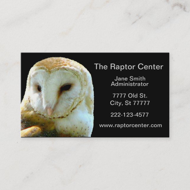 Carte De Visite Profil de hibou de grange de Raptor (Devant)