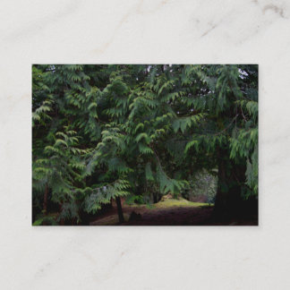 Carte De Visite Promenade de forêt