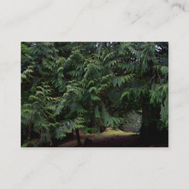 Carte De Visite Promenade de forêt (Devant)