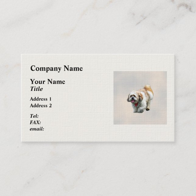 Carte De Visite Promenade de Shih Tzu (Devant)