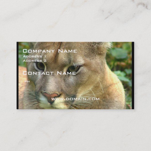 Carte De Visite Puma sauvage (Devant)