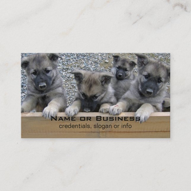 Carte De Visite Puppies de Norvège (Devant)