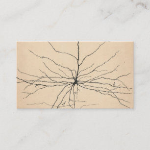 Carte De Visite Pyramida