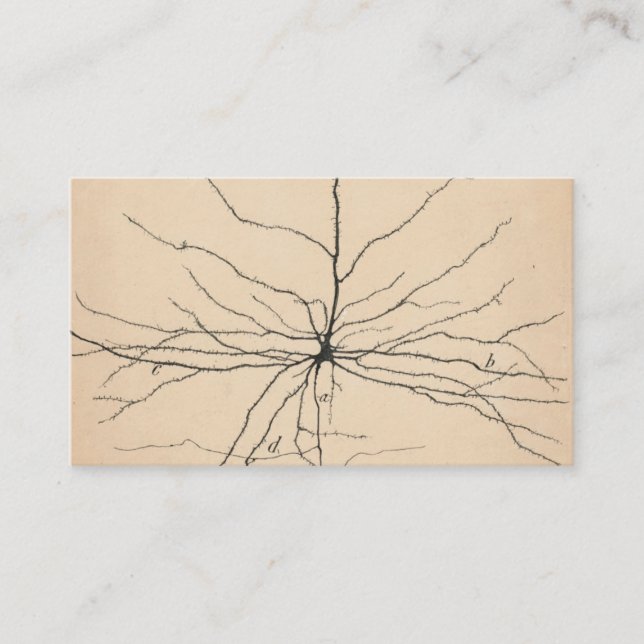 Carte De Visite Pyramida (Devant)