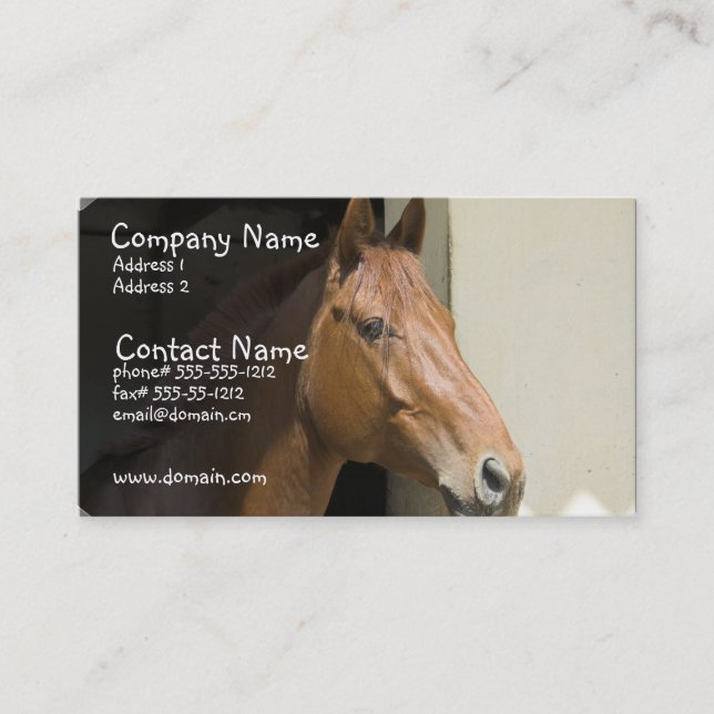 Carte de visite quart américain de cheval (Devant)