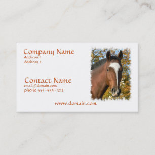 Carte de visite quart de cheval