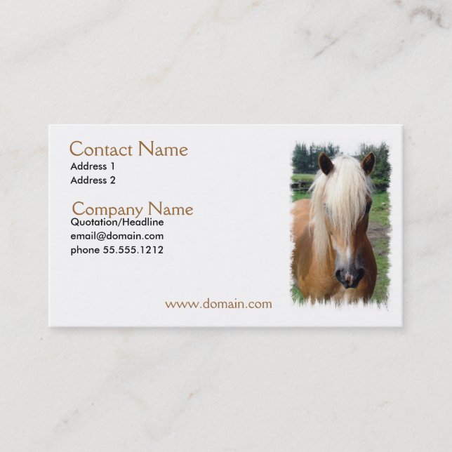Carte de visite quart de cheval de palomino (Devant)