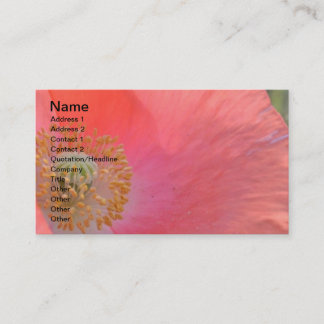 Carte De Visite Quotidienne est une occasion