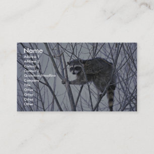 Carte De Visite Raccoon