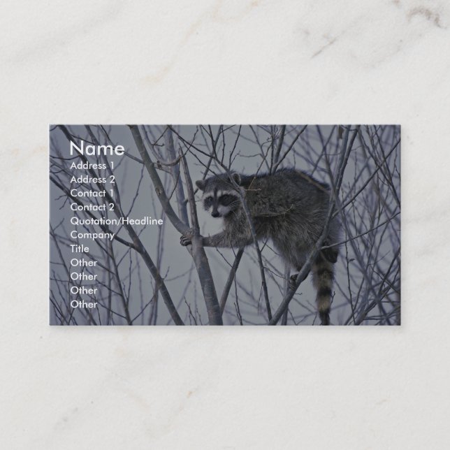 Carte De Visite Raccoon (Devant)