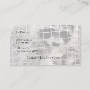 Carte De Visite Raccoon dans un piège