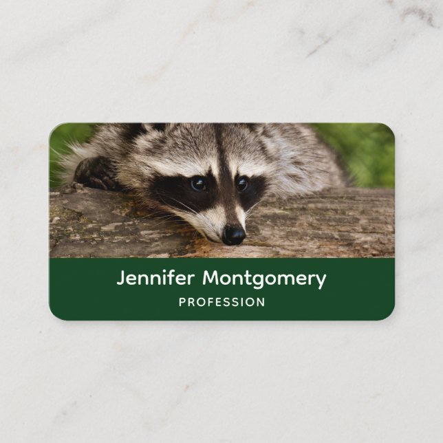 Carte De Visite Raccoon mignon reposant sur un journal (Devant)