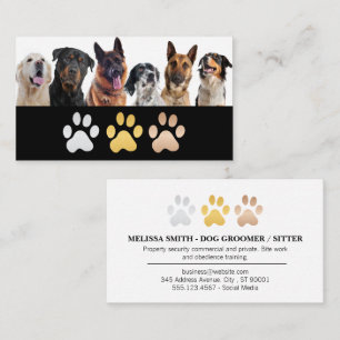 Carte De Visite Race de chiens mixtes   Protection des animaux