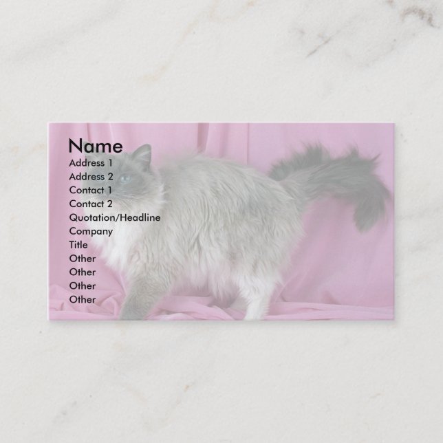 Carte De Visite Ragdoll, bleu admis (Devant)
