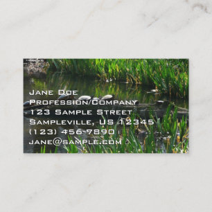Carte De Visite Rangée de tortues photo verte de la nature