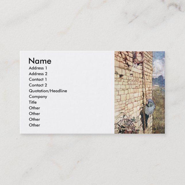 Carte De Visite Rapunzel (Devant)