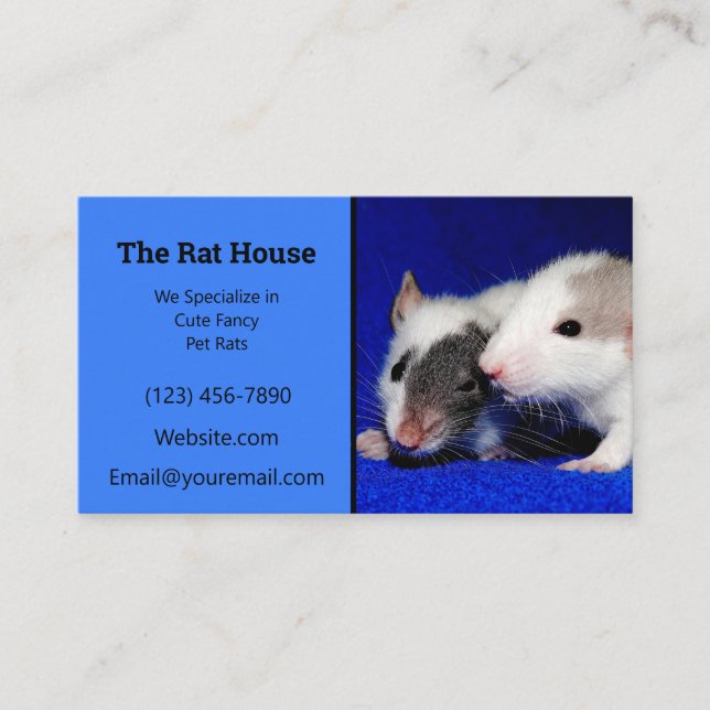 Carte De Visite Ratère d'éleveur de rats bleus (Devant)