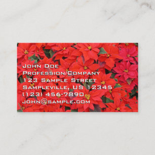 Carte De Visite Red Poinsettias I Christmas Holiday Floral Photo
